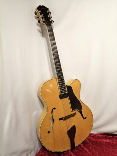 Eastman 810ce electric - ar-810ce,