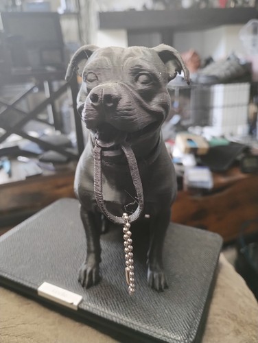 Staffordshire bull terrier - staffordshire,