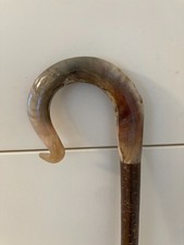 Rams Horn Shepherds Crook Walking