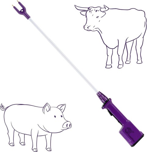 Purple rechargeable livestock - rechargeable,