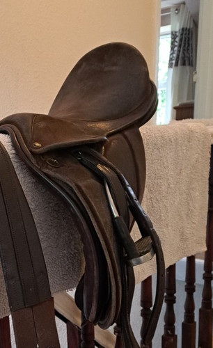 Fylde brown suede show - brown, saddle