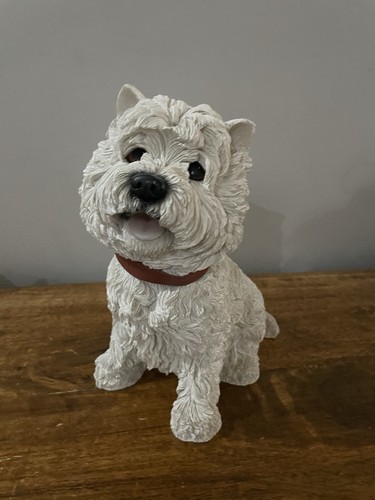 West highland terrier sitting - west,