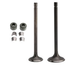 Engine head intake and - and, exhaust