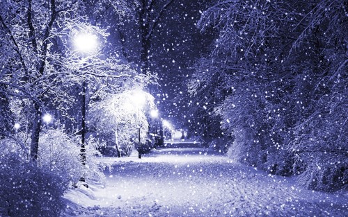 Winter purple snow scene night - winter,