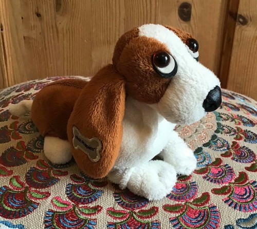 Aurora hush puppies - puppies, basset