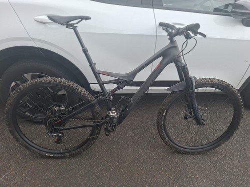 Specialized carbon stumpjumper - carbon,