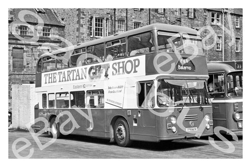 Bus photograph eastern - photograph,