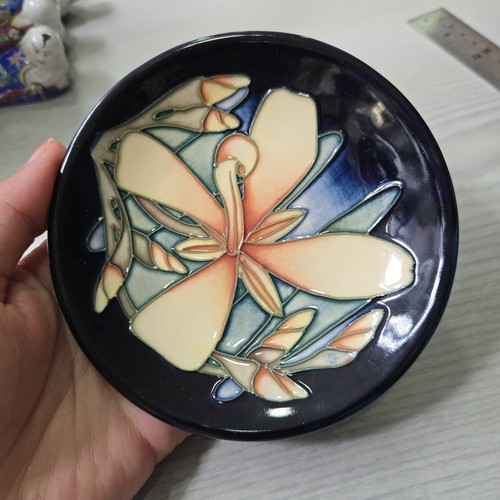 Moorcroft pottery panache pin - pottery,