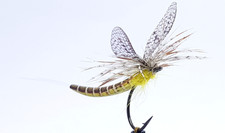 Parachute Foam Body Realistic