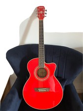 washburn electric Acoustic