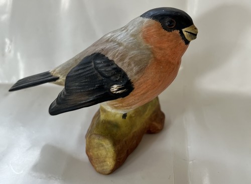 Bird bull finch crown - bird,