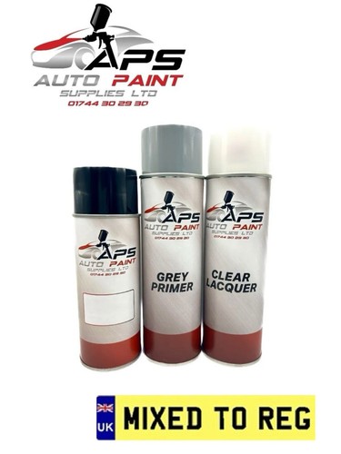 Aerosol spray paint kit mixed - kit,