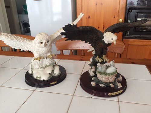 Bird prey ornaments the - prey,