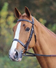 Shires Velociti Gara Plain Leather Bridle | 2 Colours | 6 Sizes
