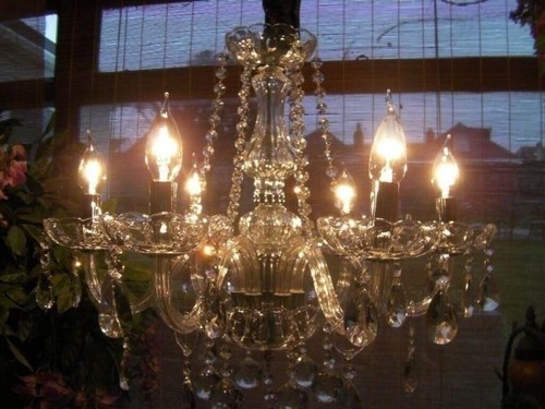 Gorgeous large elegant 6 - ~,