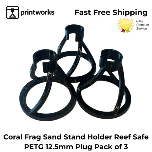 Aquarium coral frag - frag, sand