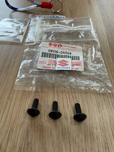 Suzuki rg400 rg500 rg250 screw - rg400,