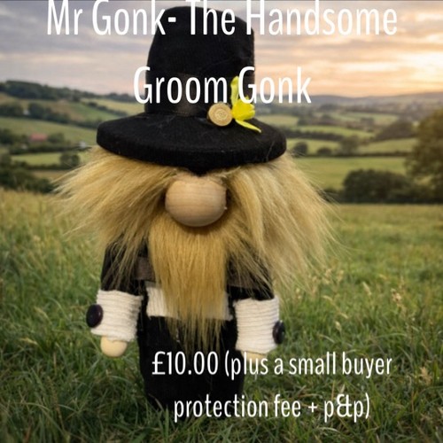 Gonk the handsome groom - handsome,
