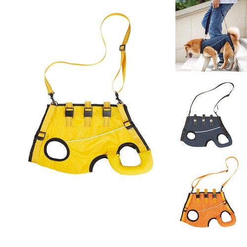 Dog mobility aids - aids, support