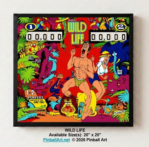Gottlieb wild life 1971 - "wild,