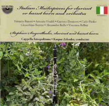 Ferruccio Buson Italian