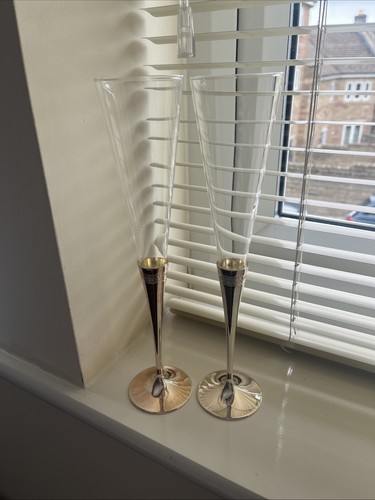 Wedgwood vera wang champagne - wang,