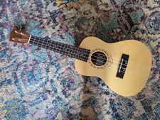 Tanglewood Concert 4 String