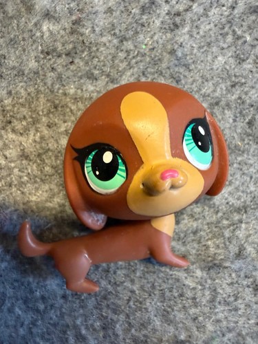 Authentic hasbro littlest pet - authentic,