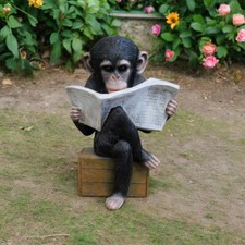 Monkey Reading Newspaper