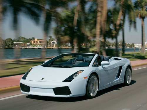 Car vehicle lamborghini - car,