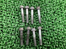Genuine Honda CRM250AR Generator Cover Bolt, MD32, Unbent, Rare Item, Vehicl...
