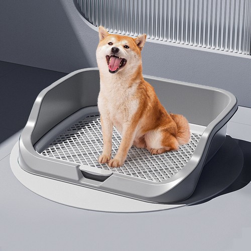 Large open dog litter box - open,