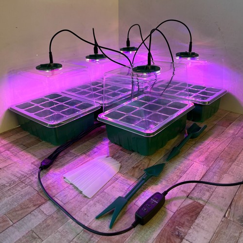 Plant propagator seed tray - tray, set