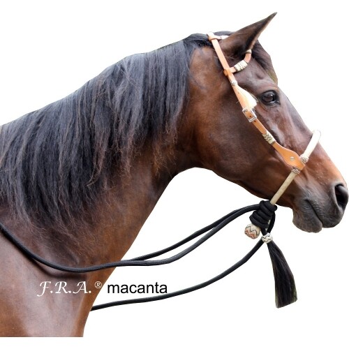 Macanta bosal bitless - macanta, &