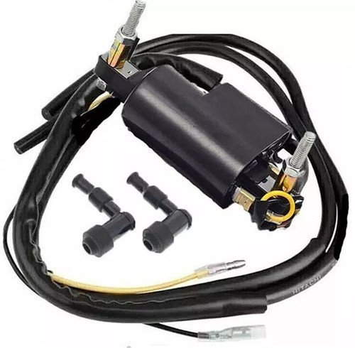 Ignition coil for - ignition,