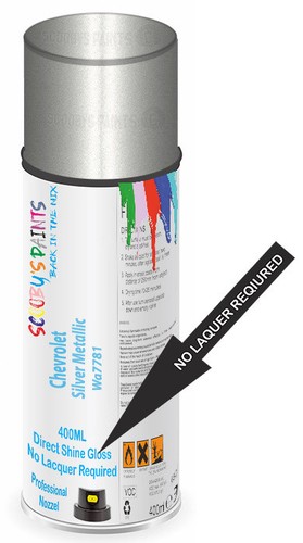 Aerosol spray paint for - spray,