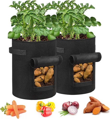 Pack gallon potato - 2, 7