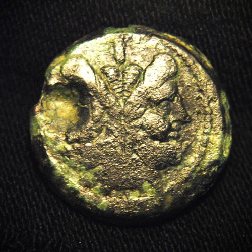 Anonymous roman republic - Æ,