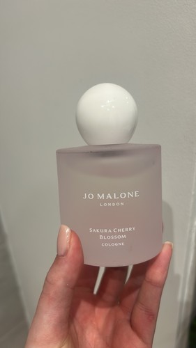 Malone sakura cherry - jo,