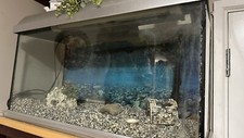 aquarium fish tank used 