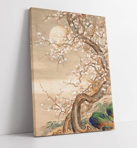 Japanese plum blossoms so - japanese, blossoms,