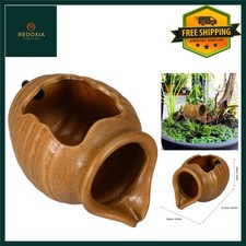 Hydroponic Ceramic Jug Pond