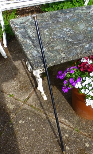 Antique ebonised walking - antique, stick