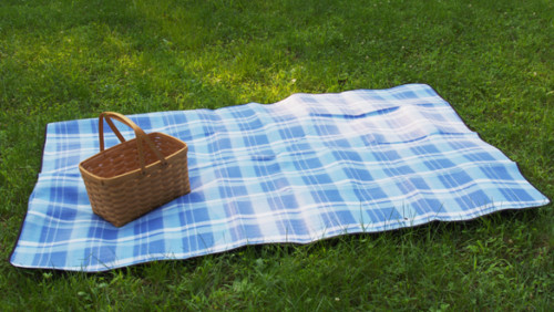Travel picnic blanket mat - picnic,