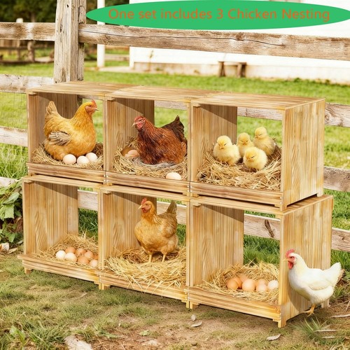 Chicken nesting boxes - nesting, 3