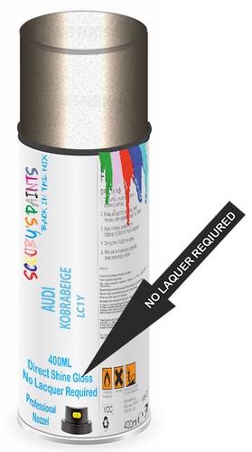 Paint for audi cobra - paint, beige