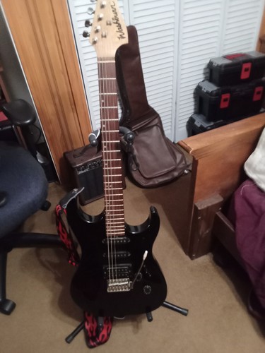 Washburn series electric - washburn,