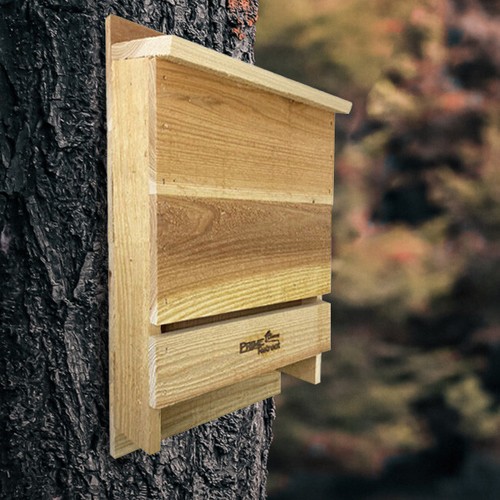 Triple celled cedar bat house - triple-celled,