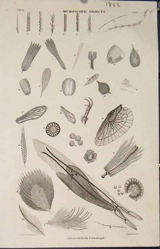 Original old antique print 43 - original,