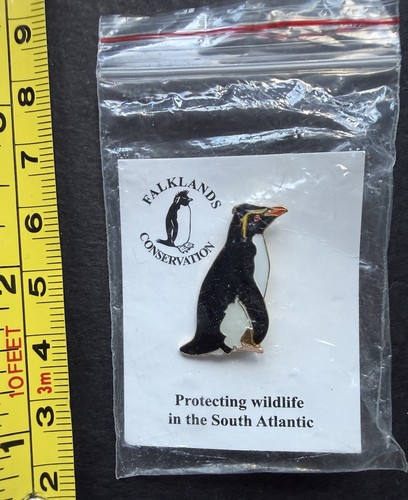 Falklands rockhopper penguin - falklands,